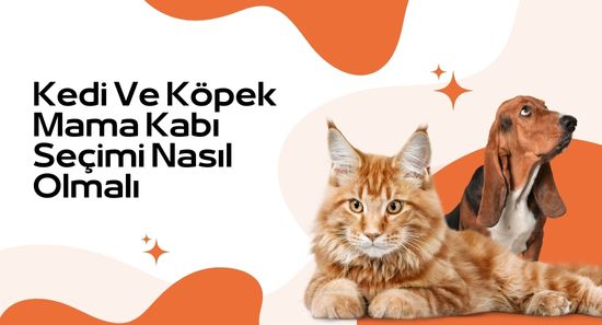 Kedi ve Köpeklerin Mama Kabı Seçimi Nasıl Olmalı